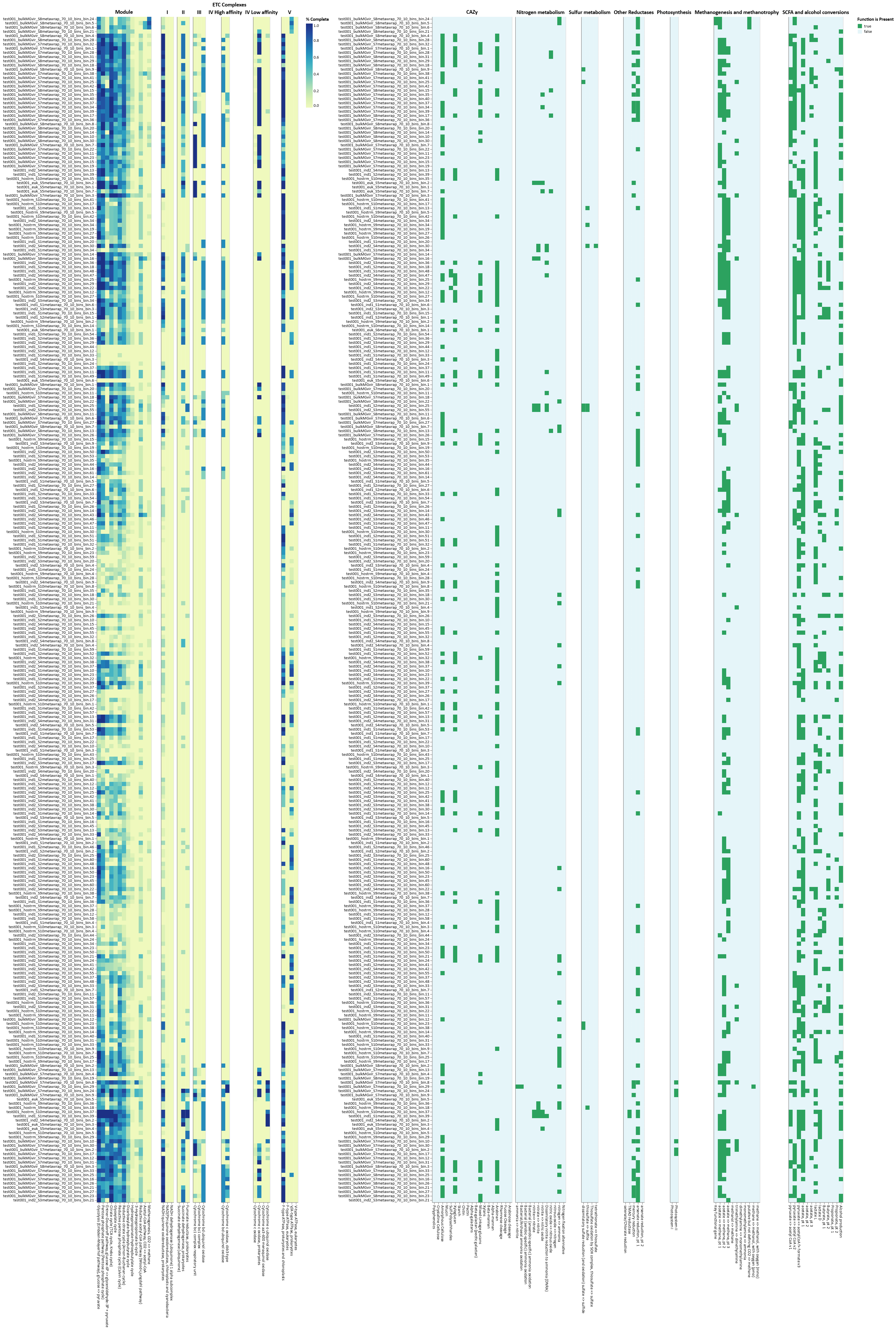 summary metabolic information for Core metabolism and Assimilatory and Dissimilatory functions