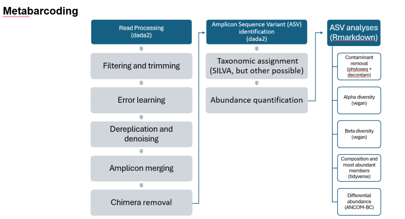 metabarcoding pipeline see text below