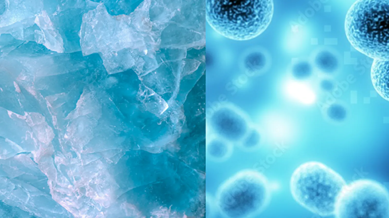 Glacial ice and viruses