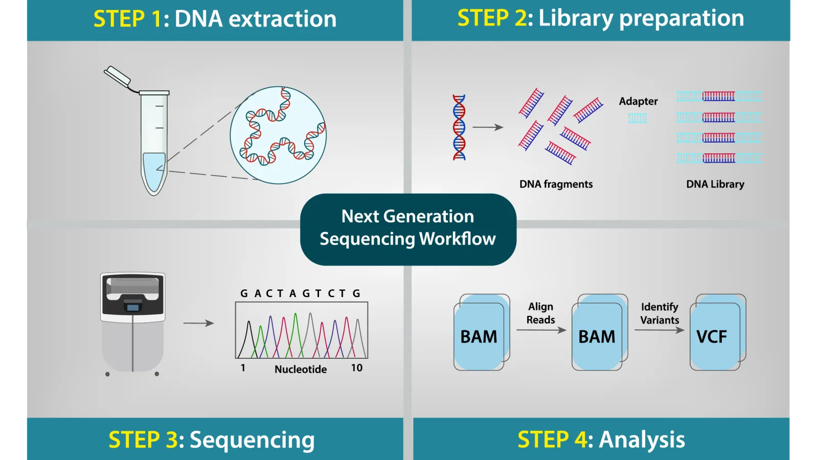 Next Generation Sequencing NGS