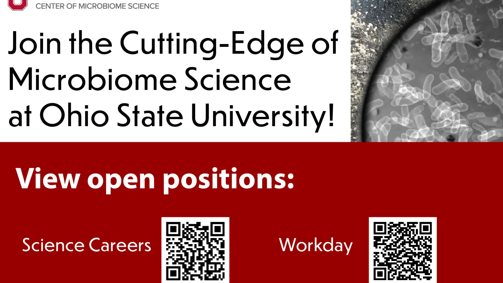 AU25 Ohio State Microbiome Science Faculty positions open  See below