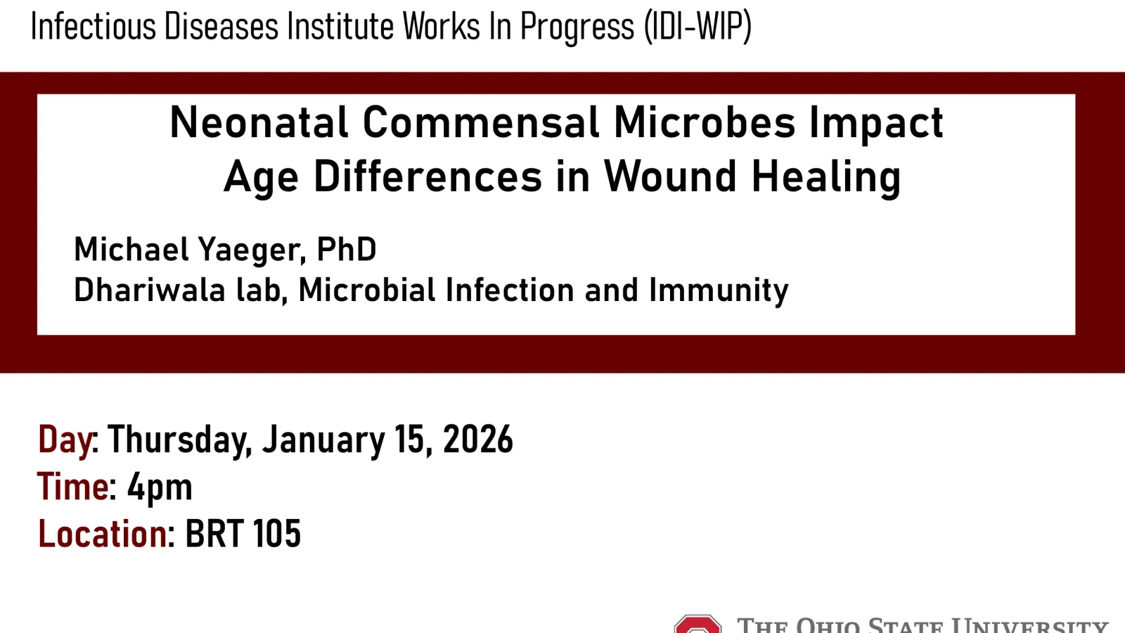 IDI-WIP Seminar See text below for detailes