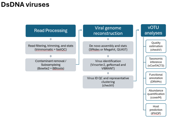 DsDNA pipeline, see text below