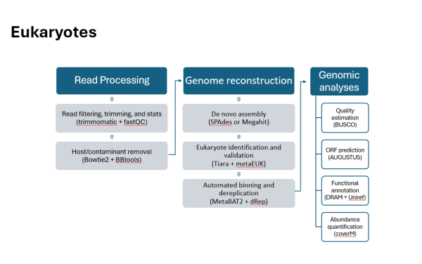 eukaryotes pipeline, see text below