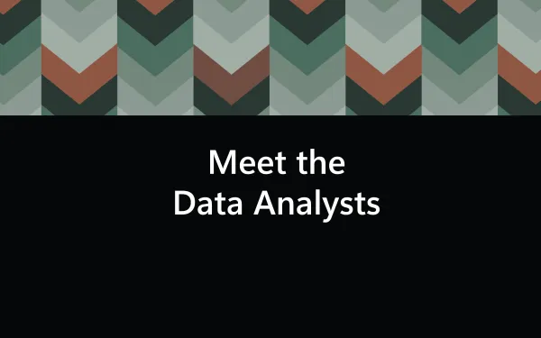 Link, Meet the data analysts