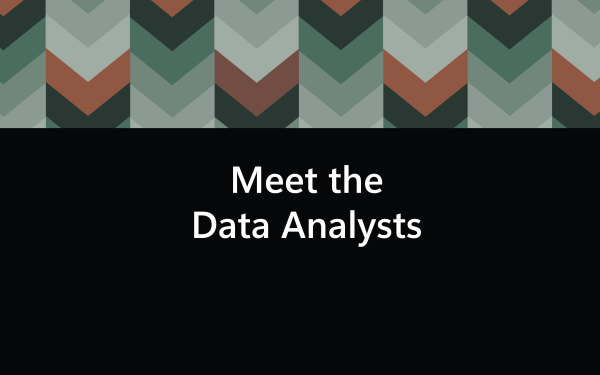 Link, Meet the data analysts