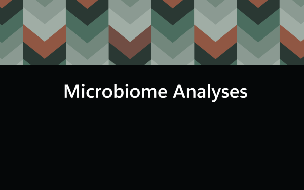 Link, Microbiome Analyses