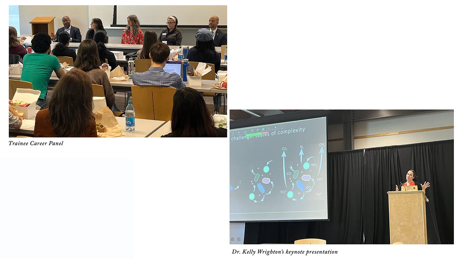 Trainee Career Panel and Dr. Wrighton