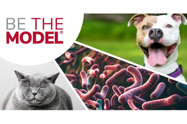 Be the model with cat, dogs, worms