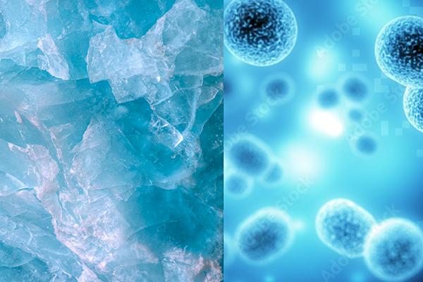 Glacial ice and viruses