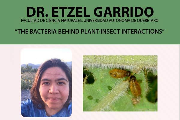 Dr. Etzel Garrido