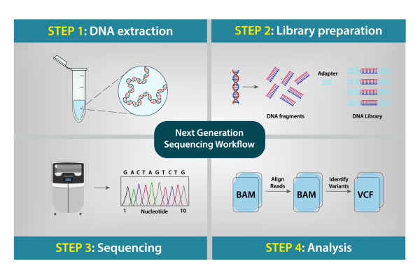 Next Generation Sequencing NGS