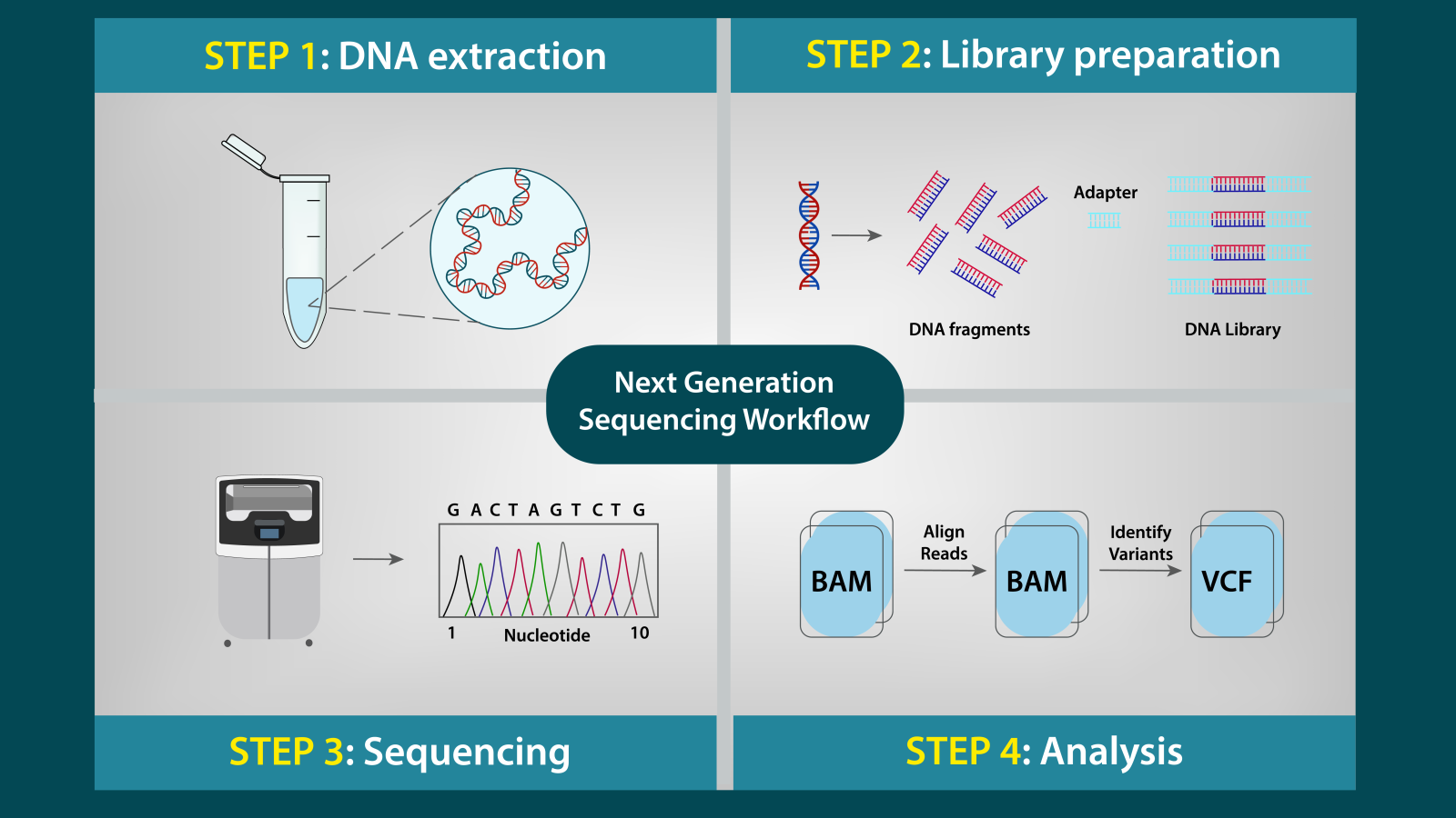 Next Generation Sequencing NGS